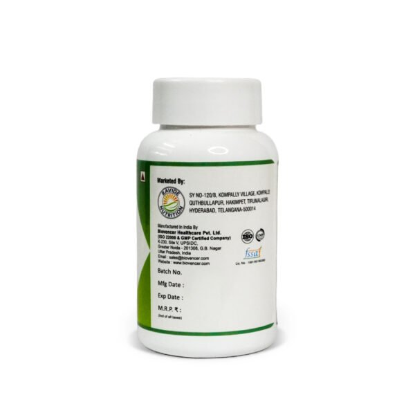 Magnesium Capsules - Essential Mineral Support for Muscle, Bone & Recovery Health - Image 2